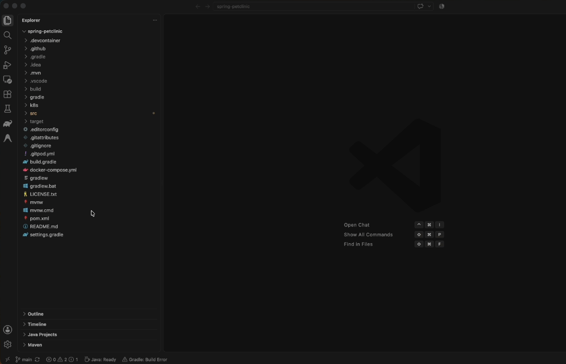 Antigravity IDE Extensions in Action
