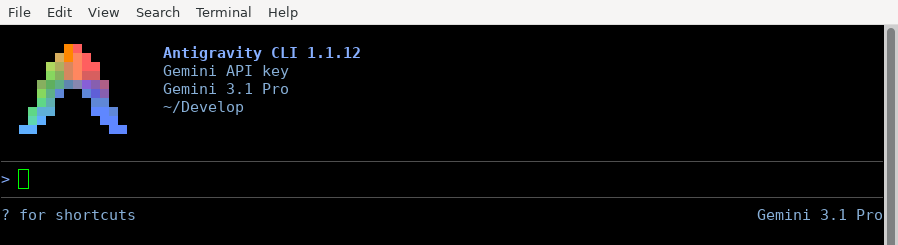 Antigravity CLI authenticated with a Gemini API key, with “Gemini API key” shown in the header in place of an account email